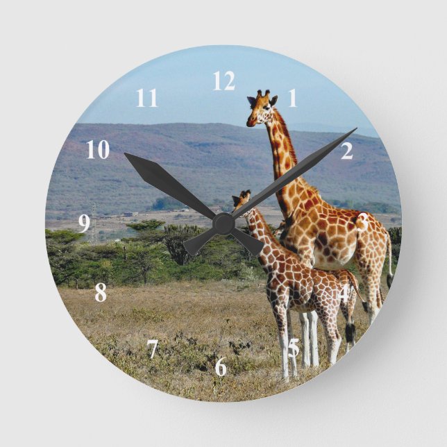 Reloj Redondo Mediano Giraffe de la vida silvestre madre y foto del bebé (Anverso)