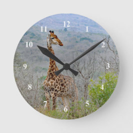 Reloj Redondo Mediano Giraffe Savannah Foto