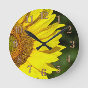Reloj Redondo Mediano Girasol