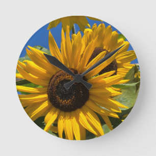 Reloj Redondo Mediano Girasol