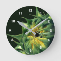 Girasol Despliegue Floral