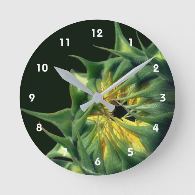 Reloj Redondo Mediano Girasol Despliegue Floral (Anverso)