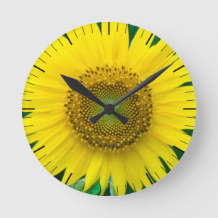 Relojes de pared Girasoles La Sol 