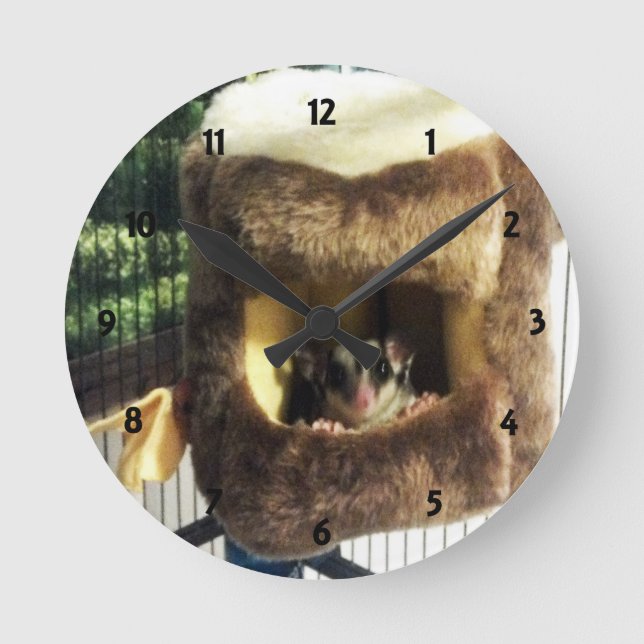 Reloj Redondo Mediano Glider azucarero en camión de árbol furtivo colgan (Anverso)