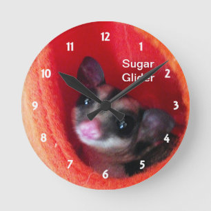 Reloj Redondo Mediano Glider de azúcar en la cama colgada del Naranja