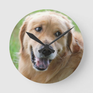 Reloj Redondo Mediano golden-retriever-31