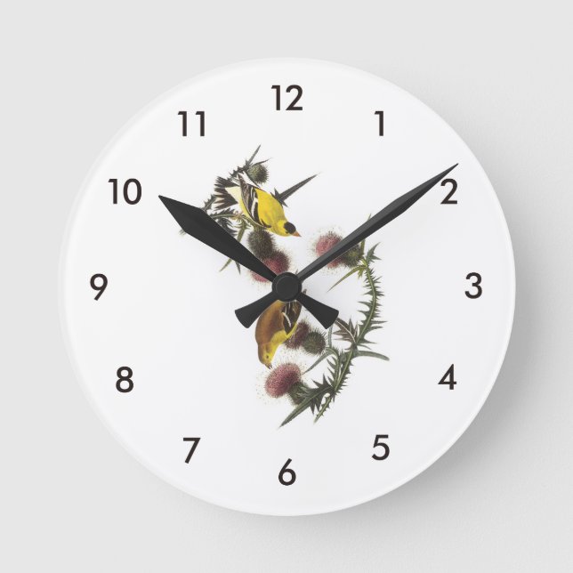 Reloj Redondo Mediano Goldfinch americano por Audubon (Anverso)