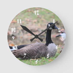 Reloj Redondo Mediano Goose