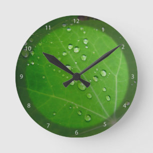 Reloj Redondo Mediano Gotas de lluvia brillantes en la hoja de nasturcio
