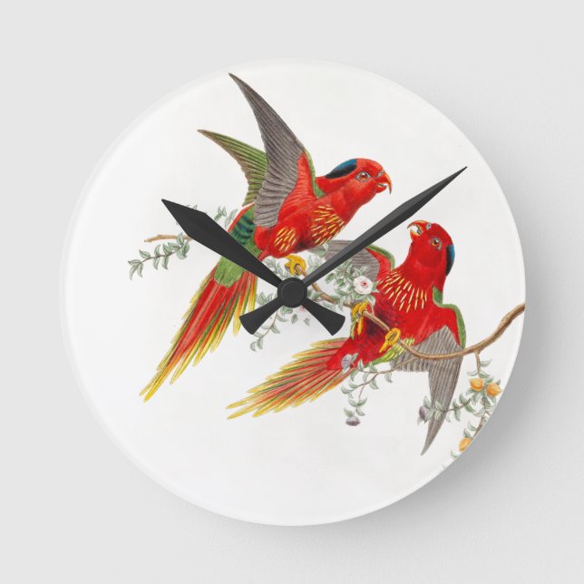 Reloj Redondo Mediano Goulds Lorikeet Birds Clock (Anverso)