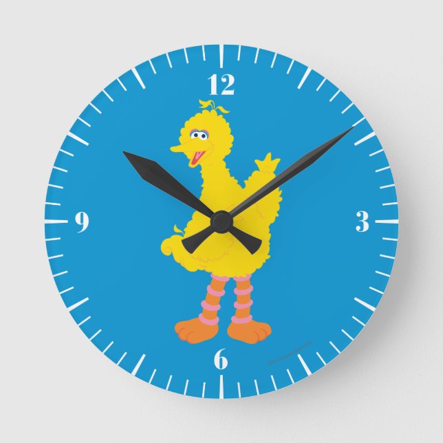 Reloj Redondo Mediano Grafito para aves grandes (Anverso)
