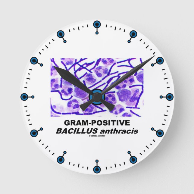Reloj Redondo Mediano Gram-Positive Bacillus anthracis (Bacteria) (Anverso)