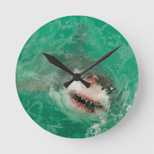 Reloj Redondo Mediano Gran blanco Shark1