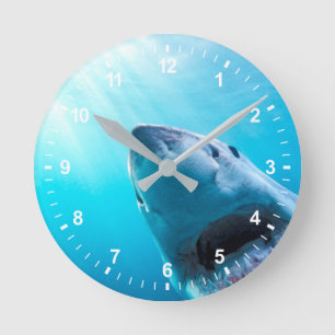Reloj Redondo Mediano Gran Tiburón Blanco Sudáfrica