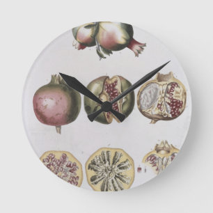 Reloj Redondo Mediano Granada, grabada por Juan Jacobo Haid (1704-6