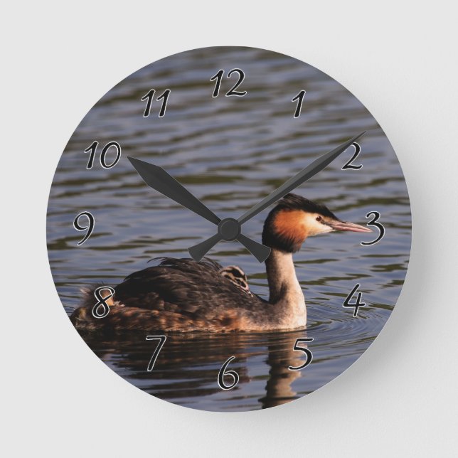 Reloj Redondo Mediano Grano de cresta grande con pollo en la espalda (Anverso)