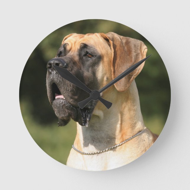 Reloj Redondo Mediano Great Dane - fawn / Deutsche Dogge - gelb (Anverso)