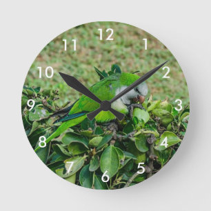 Reloj Redondo Mediano Green parrot