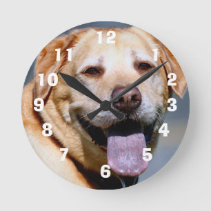 Reloj Redondo Mediano Grin