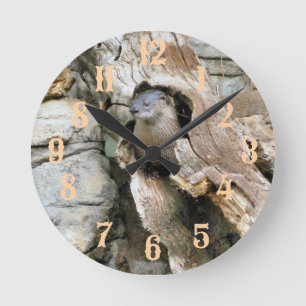 Reloj Redondo Mediano Harry Otter