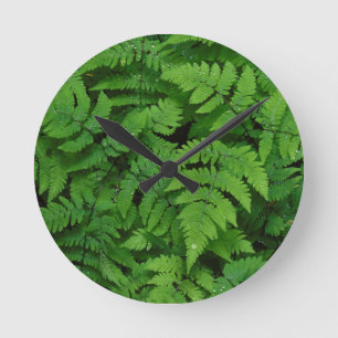 Reloj Redondo Mediano helado bracken con gotas de lluvia, estado de Wash