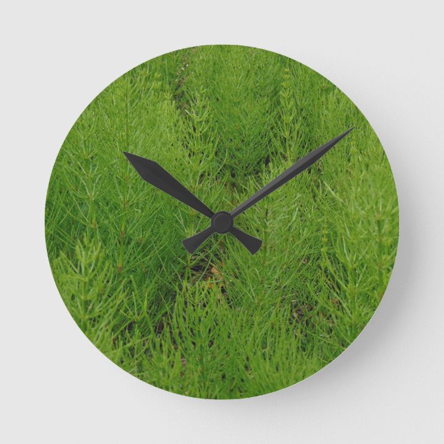 Reloj Redondo Mediano Helechos de la cola de caballo (Anverso)