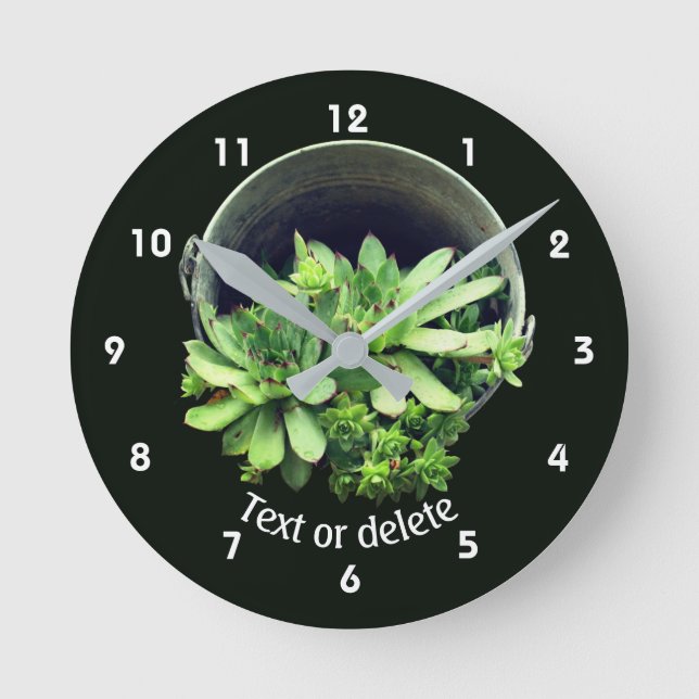 Reloj Redondo Mediano Hens And Chicks Succulents Floral Personalized  (Anverso)