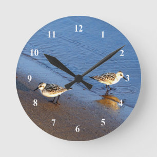 Reloj Redondo Mediano Hermosa foto de Sandpiper con agua azul