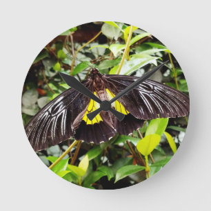 Reloj Redondo Mediano hermosa mariposa amarilla negra fotografía