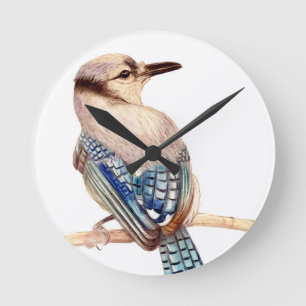 Reloj Redondo Mediano Hermoso pájaro