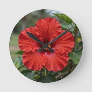 Reloj Redondo Mediano Hibisco Tropical Rojo Vibrante Floración