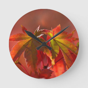 Reloj Redondo Mediano Hojas de arce japonesas