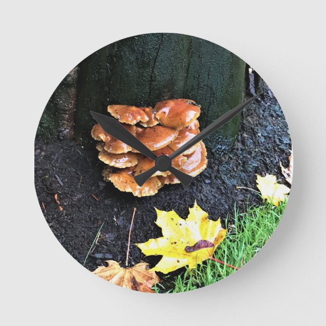 Reloj Redondo Mediano Hongos en un árbol, Oregón (Anverso)