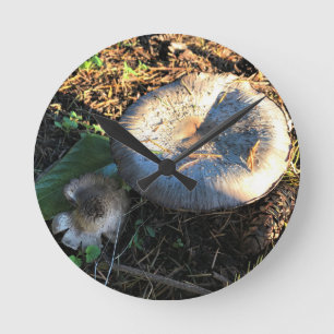 Reloj Redondo Mediano Hongos, Oregón