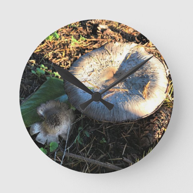 Reloj Redondo Mediano Hongos, Oregón (Anverso)