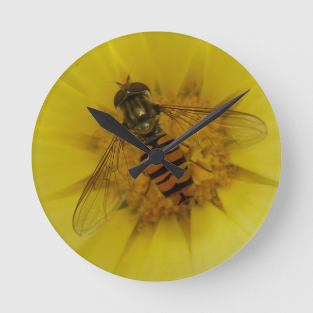 Reloj Redondo Mediano Hoverfly on a Marigold Wall Clock (Anverso)