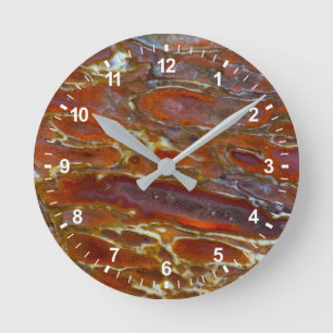 Reloj Redondo Mediano Hueso Petrificado de Dinosaurio