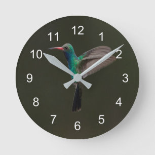 Reloj Redondo Mediano Hummingbird