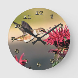Reloj Redondo Mediano Hummingbird Flower Feeding