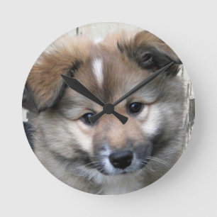 Reloj Redondo Mediano Icelandic Sheepdog 2014-0801