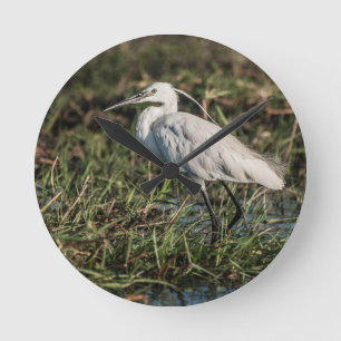 Reloj Redondo Mediano Igrid