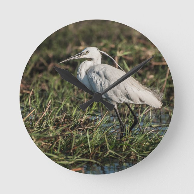 Reloj Redondo Mediano Igrid (Anverso)