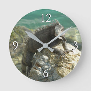 Reloj Redondo Mediano Iguana en las rocas en St. Thomas