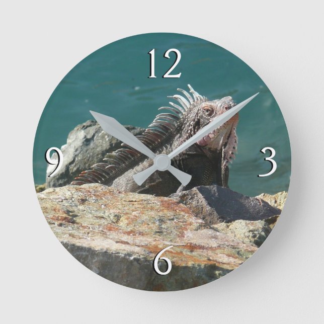 Reloj Redondo Mediano Iguana en St. Thomas (Anverso)