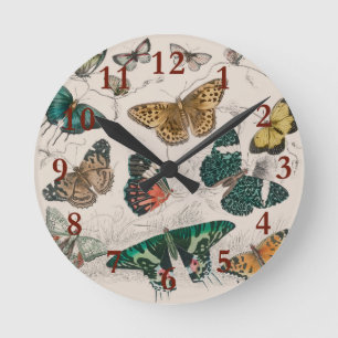 Reloj Redondo Mediano Ilustración antigua de mariposa: Orfebre de 1820