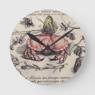 Reloj Redondo Mediano Ilustración de flor de insecto botánico de cangrej