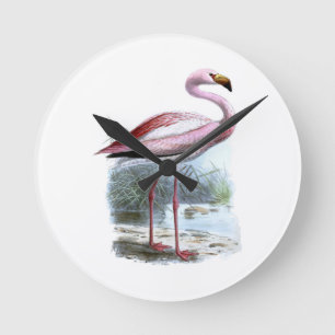 Reloj Redondo Mediano Ilustracion Vintage Puna Flamingo