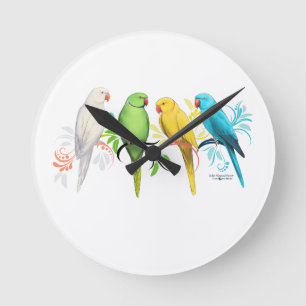 Reloj Redondo Mediano Indian Ringneck Parrots