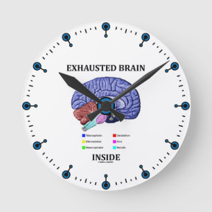 Reloj Redondo Mediano Interior del cerebro agotado (Humor cerebral anató