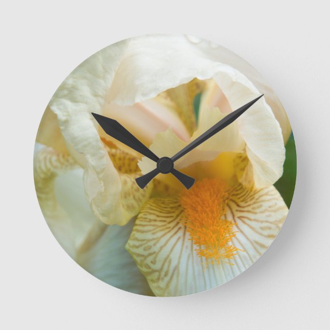 Reloj Redondo Mediano Iris con barba (Anverso)